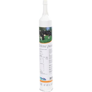 Tillskott ReCovin Ketos, 250 g